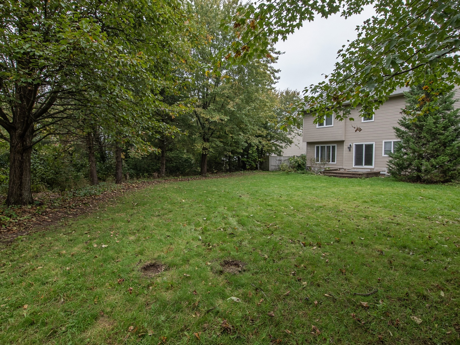 Property line after fence removal